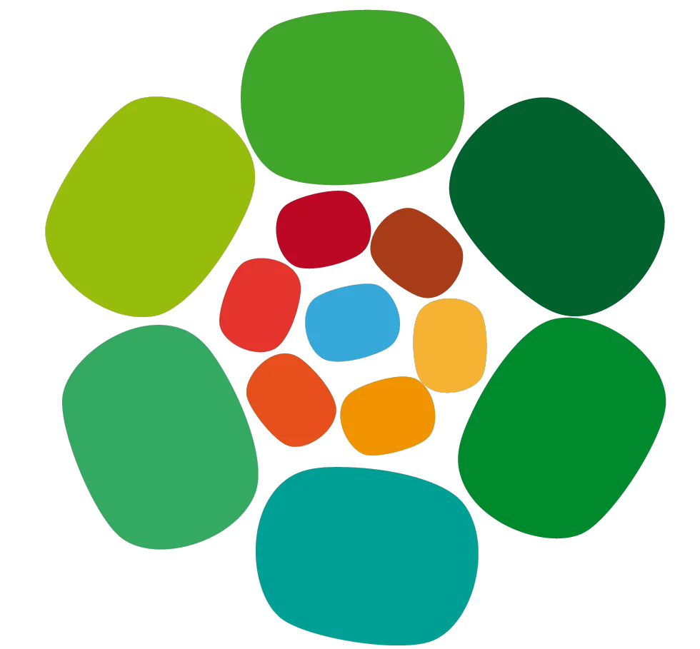 Pacoverso Metaverso Social